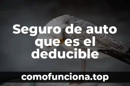 Qué es sexo seguro y sexo protegido 4 Seguro de auto que es el deducible