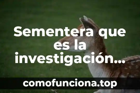 Análisis de datos en una investigación que es 5 Sementera que es la investigación exploratoria