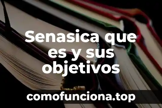 Que es concepto y objetivos 4 Senasica que es y sus objetivos