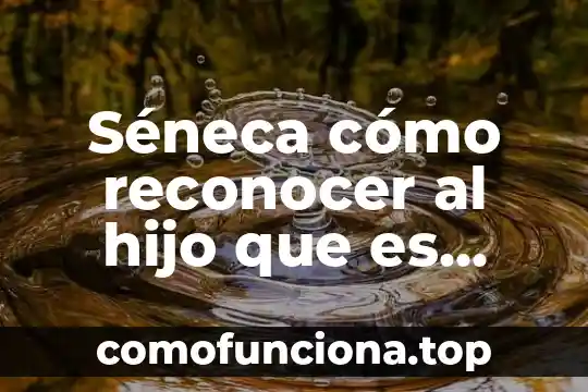 Que es la planta de hijo 6 Séneca cómo reconocer al hijo que es necesario crear