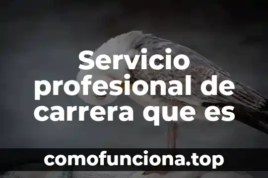 Que es el nivel profesional tecnico 4 Servicio profesional de carrera que es