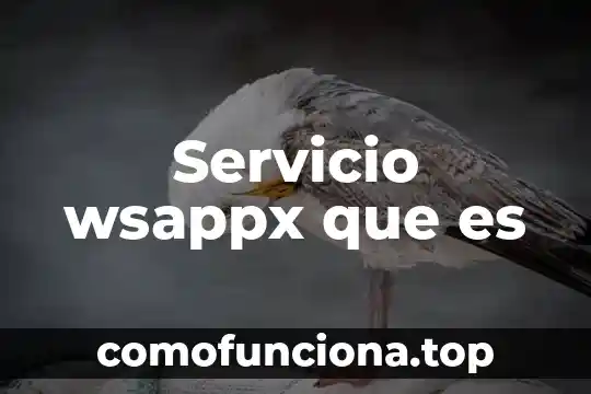 Que es un bien y un servicio segun autores 5 Servicio wsappx que es