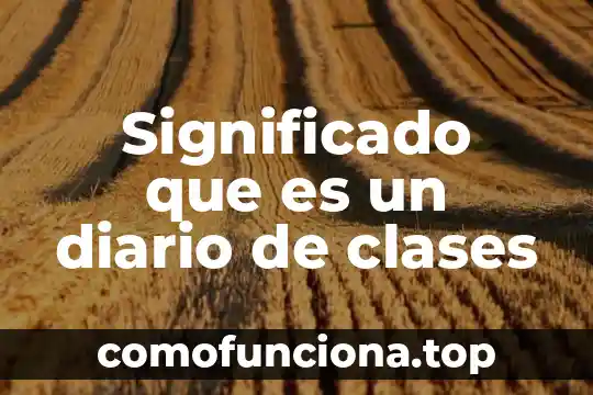 Que es lo que púedo analizar en diario de campo 7 Significado que es un diario de clases