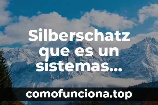 Que es el estado del arte de los sistemas operativos 4 Silberschatz que es un sistemas operativos