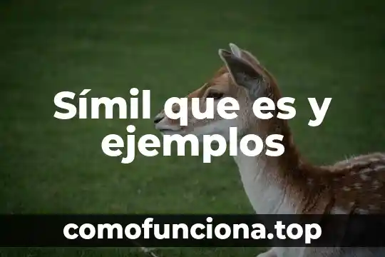 Qué es símil y metáfora ejemplos 3 Símil que es y ejemplos