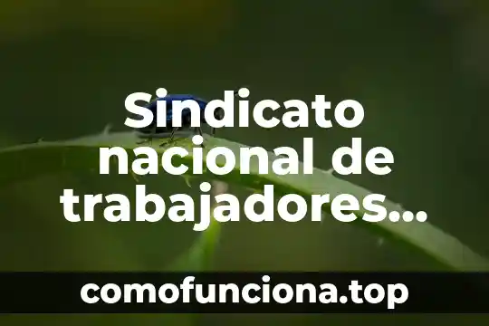 Significado de que es un problema a nivel nacional 5 Sindicato nacional de trabajadores de la educacion que es