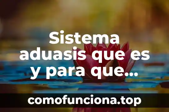 Que es el movimiento y para que sirve 5 Sistema aduasis que es y para que sirve