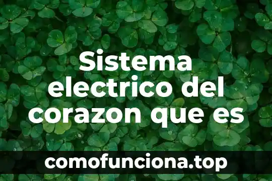Aun el hombre que es puro de corazón 4 Sistema electrico del corazon que es