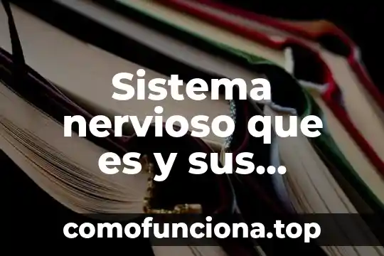 Qué es el tejido nervioso definición 8 Sistema nervioso que es y sus funciones