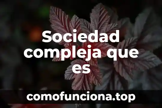 Que es tener una vida compleja 7 Sociedad compleja que es