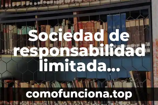 Que es lo que obstaculiza o inhíbe al ser responsabilidad 3 Sociedad de responsabilidad limitada microindustrial que es