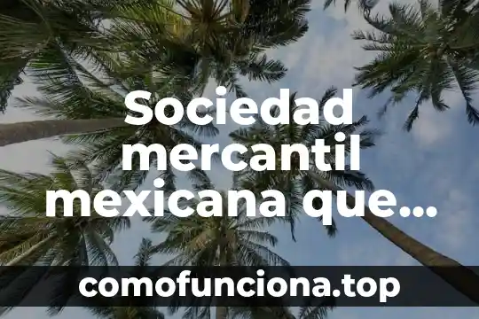 Que es sociedad naturaleza 6 Sociedad mercantil mexicana que es
