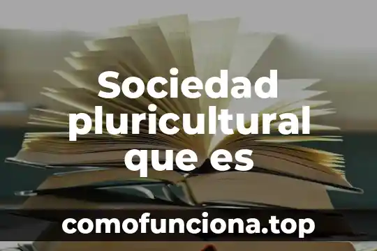 Qué es la sociedad moral 8 Sociedad pluricultural que es