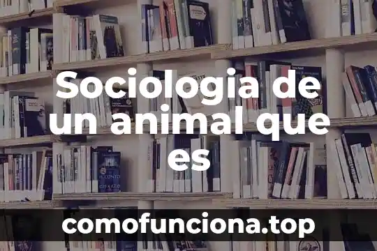 Qué es la psicología y sociología 5 Sociologia de un animal que es