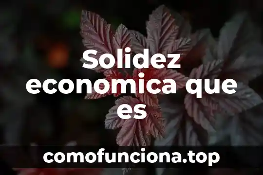 Qué es la teoría económica estructuralista 8 Solidez economica que es