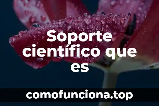 Que es el nombre cientifico hierbabuena 7 Soporte científico que es