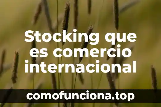 Que es una plataforma de comercio electronico mapa conceptual 5 Stocking que es comercio internacional