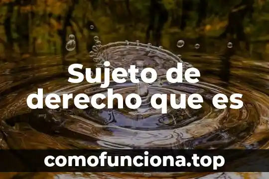 Que es el patrimonio en derecho segun autores 6 Sujeto de derecho que es