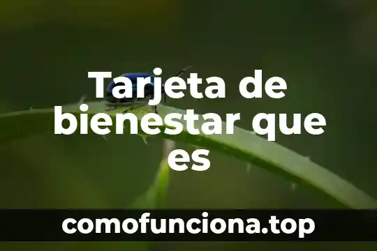 Que es tarjeta de adquisicion de datos dag 4 Tarjeta de bienestar que es