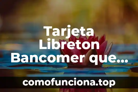 Qué es un número de tarjeta digital 8 Tarjeta Libreton Bancomer que es