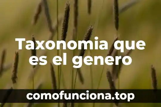 Que es idea o concepto 8 Taxonomia que es el genero