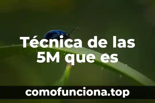 Que es la tecnica de construccion 4 Técnica de las 5M que es