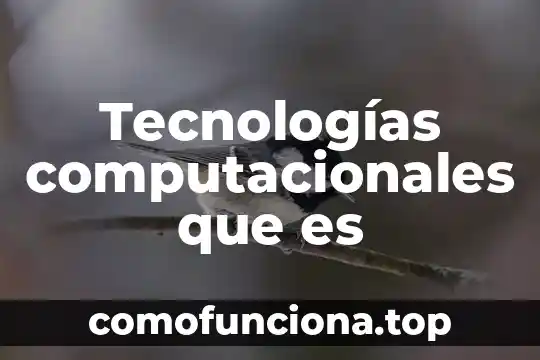 Que es lo que ejerce la carrera sistemas computacionales 3 Tecnologías computacionales que es