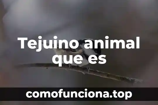 Que es un quail animal 5 Tejuino animal que es