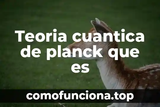 Qué es la teoría de la física cuántica 8 Teoria cuantica de planck que es