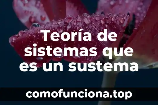 Qué es la teoría y en administración 7 Teoría de sistemas que es un sustema