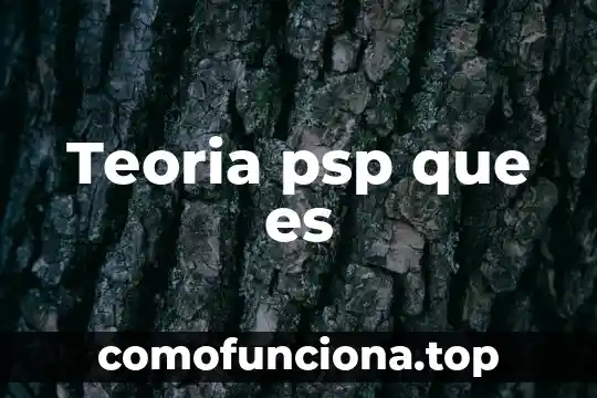 Qué es la teoría de la cantidad 4 Teoria psp que es