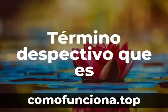 Que es recien nacido de termino 4 Término despectivo que es
