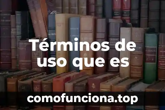 Qué es normatividad aplicable en la auditoria 4 Términos de uso que es