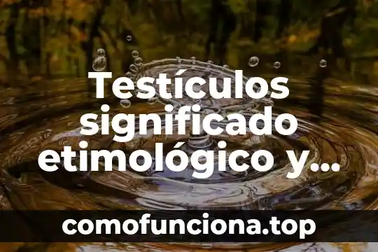Que es significado implicito 5 Testículos significado etimológico y que es