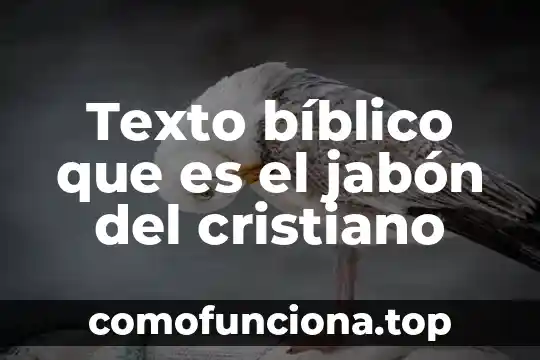 Estudio biblico que es ser un lider 3 Texto bíblico que es el jabón del cristiano