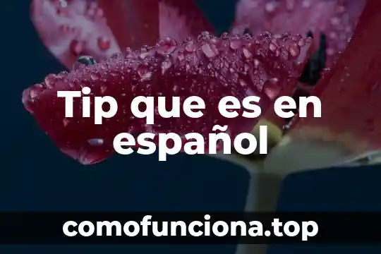 Que es el tri tip 3 Tip que es en español