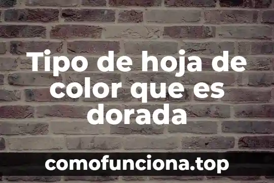 Que es una hoja tabular en excel 3 Tipo de hoja de color que es dorada