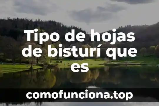 Que es pulverizar las hojas de una planta 4 Tipo de hojas de bisturí que es