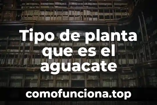 Que es el gorbierno tipo democracia 6 Tipo de planta que es el aguacate