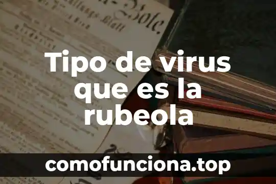 Que es tipo de tematica 4 Tipo de virus que es la rubeola