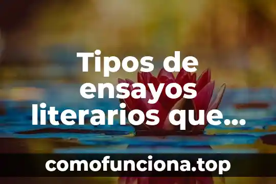Que es un movimiento literarios 4 Tipos de ensayos literarios que es