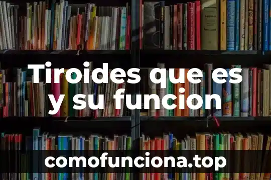 Qué es una función identidad y sus propiedades 5 Tiroides que es y su funcion