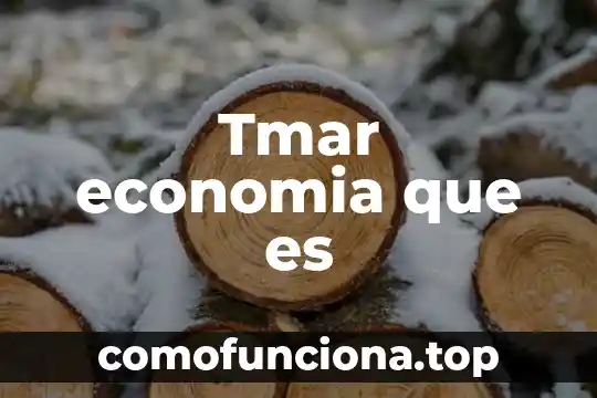 Qué es connotación en economía 4 Tmar economia que es