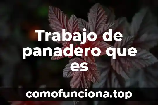 Qué es la hipótesis en un trabajo de grado 4 Trabajo de panadero que es