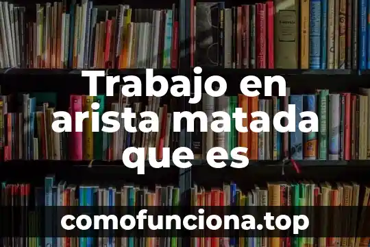 Que es la casa de los abanicos historia 4 Trabajo en arista matada que es