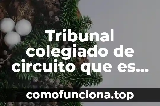 Que es tribunal federal de justicia administrativa jurisprudencia 7 Tribunal colegiado de circuito que es y que hace