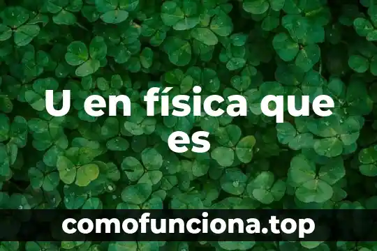 Que es tenencia a la fisica 5 U en física que es