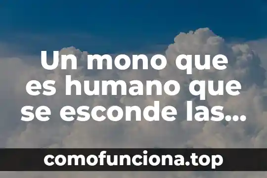 Que es el lavado de manos secretaria de salud 3 Un mono que es humano que se esconde las manos
