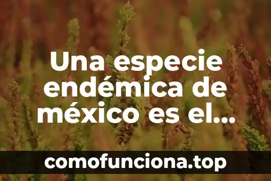 Que es la planta endémica en mexico 3 Una especie endémica de méxico es el lirio que es