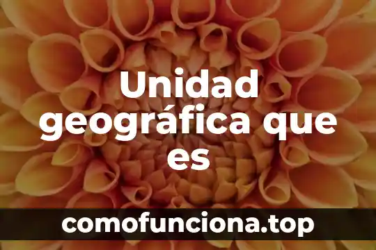 Investigar que es los tipos de representación geográfica 4 Unidad geográfica que es